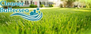 grass-cutting-services-battersea